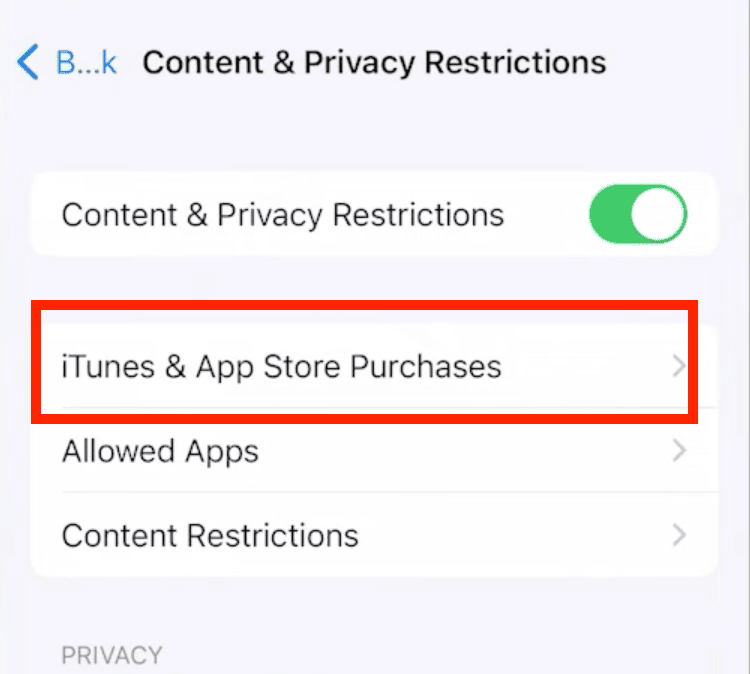 itunes & app store purchases