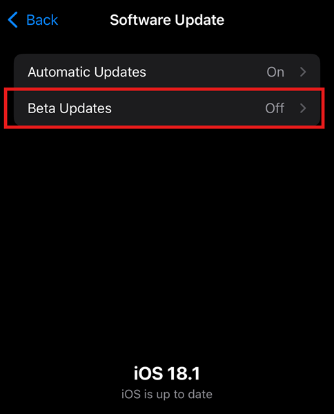 upgrade to iOS Beta Updates