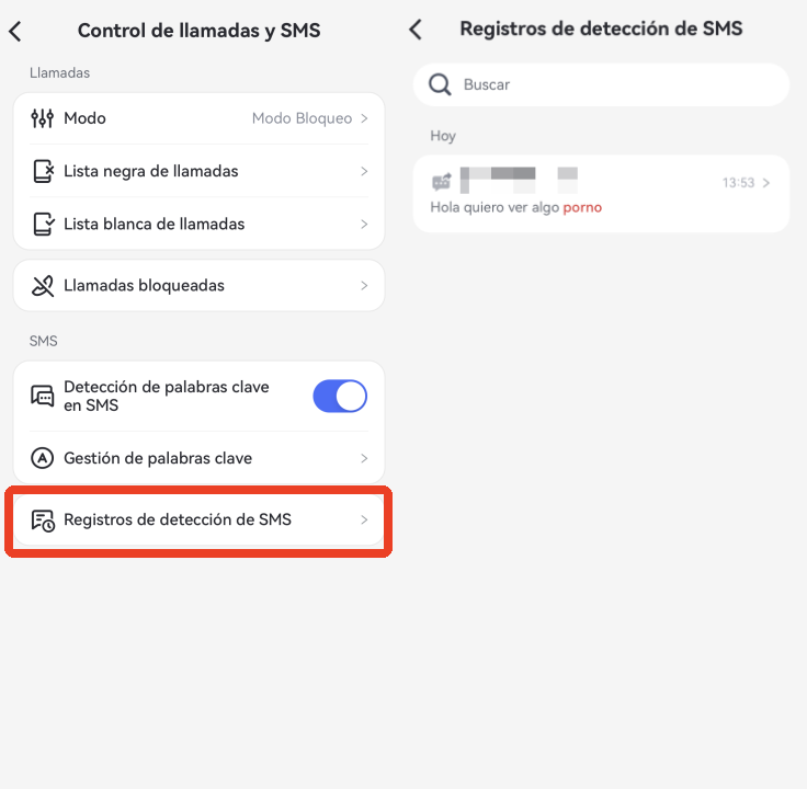 ver los registros de detección de SMS de Control de llamadas y SMS