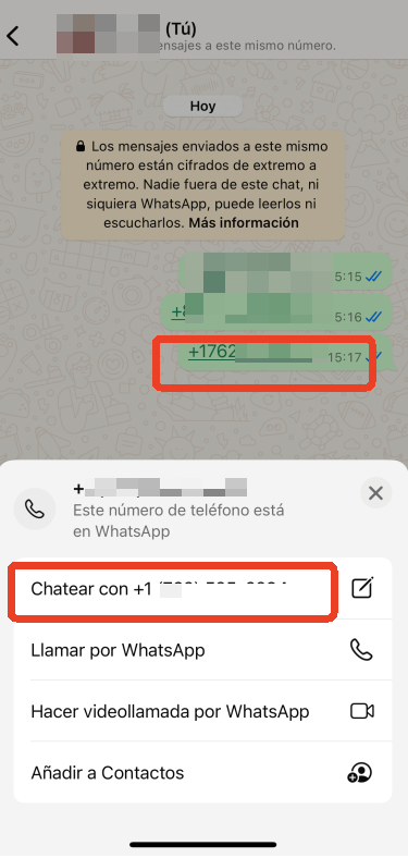 chatear con alguien a través de texto