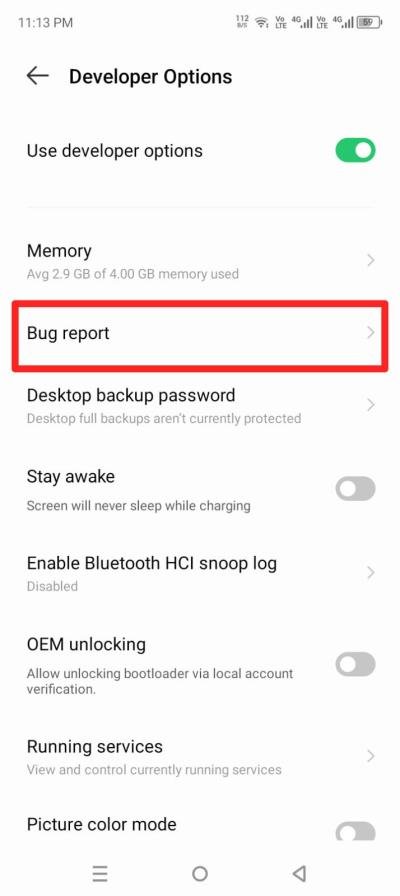 find-bug-report