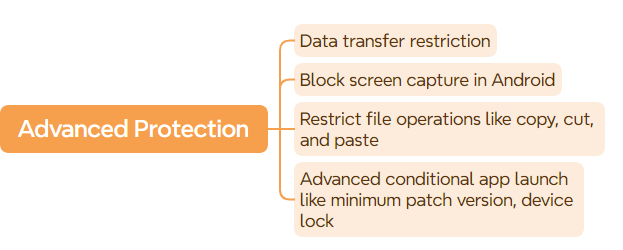 Advanced Enterprise Data Protection