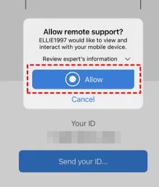 grant permission teamviewer