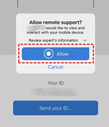 grant permission teamviewer 2