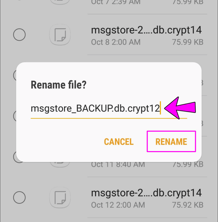 rename whatsapp backup files