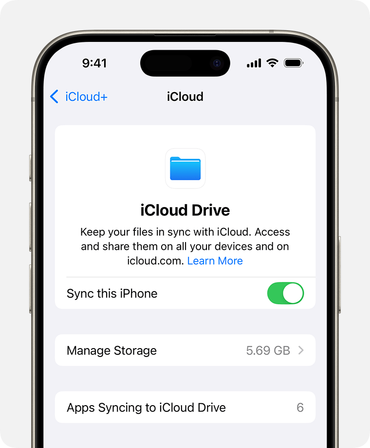 Turn On iCloud Drive Access