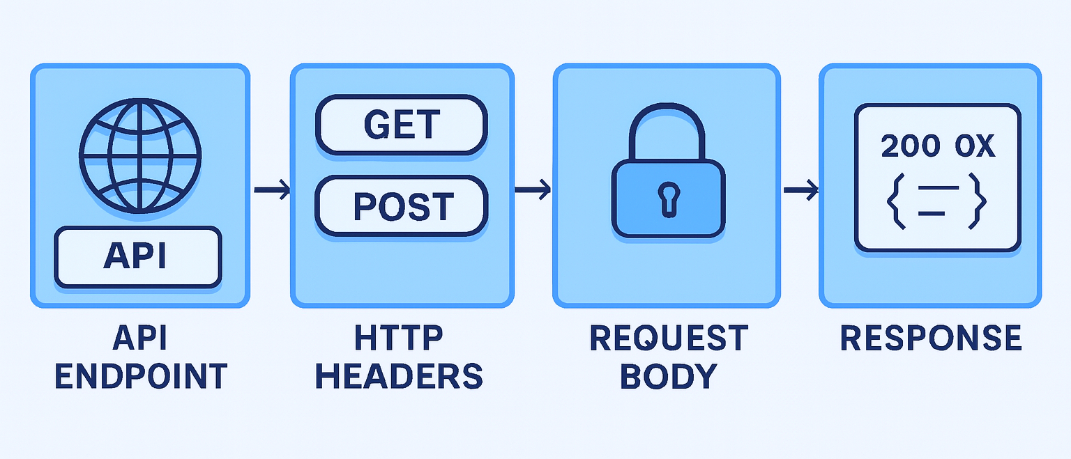 how API requests and responses work