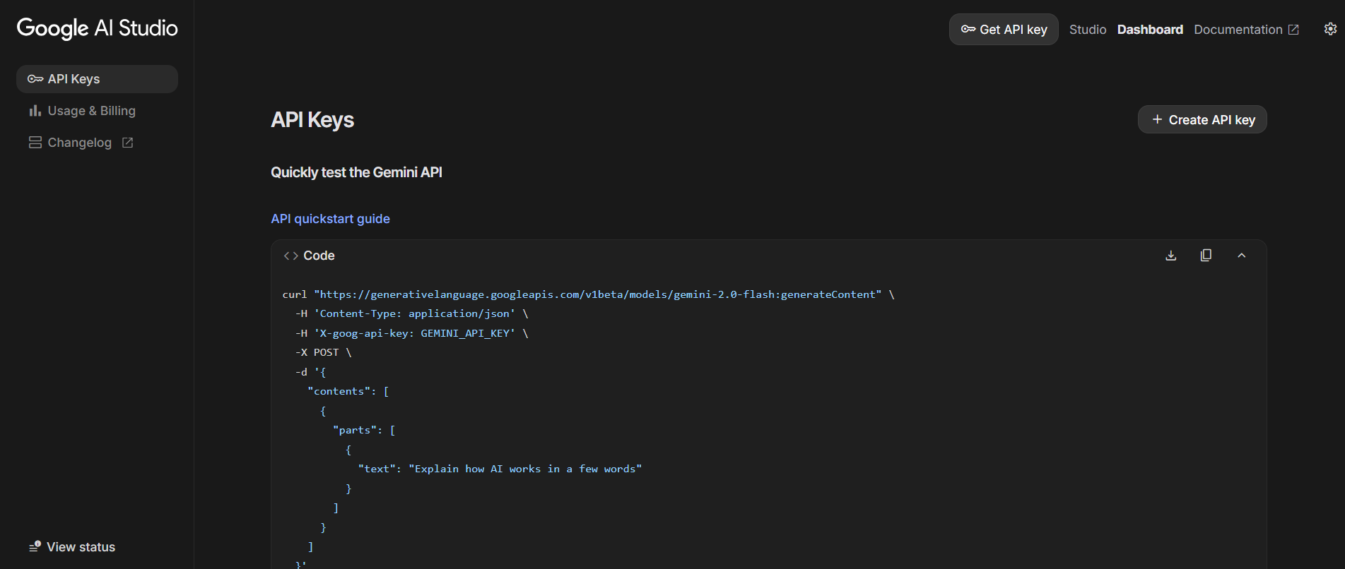 Google AI Studio API key