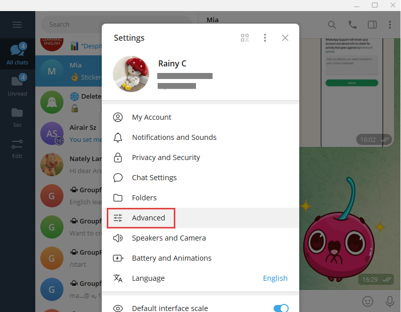Telegram advanced settings on PC