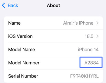 iPhone model