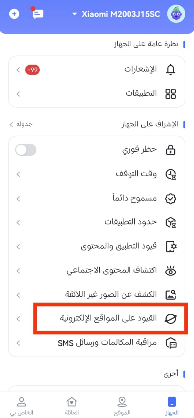 Restrictions on websites
