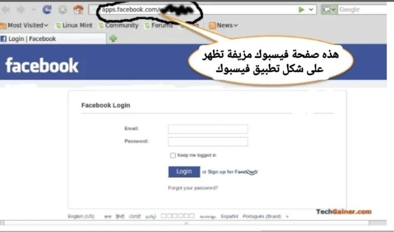 مثال على صفحات تسجيل الدخول المزيفة