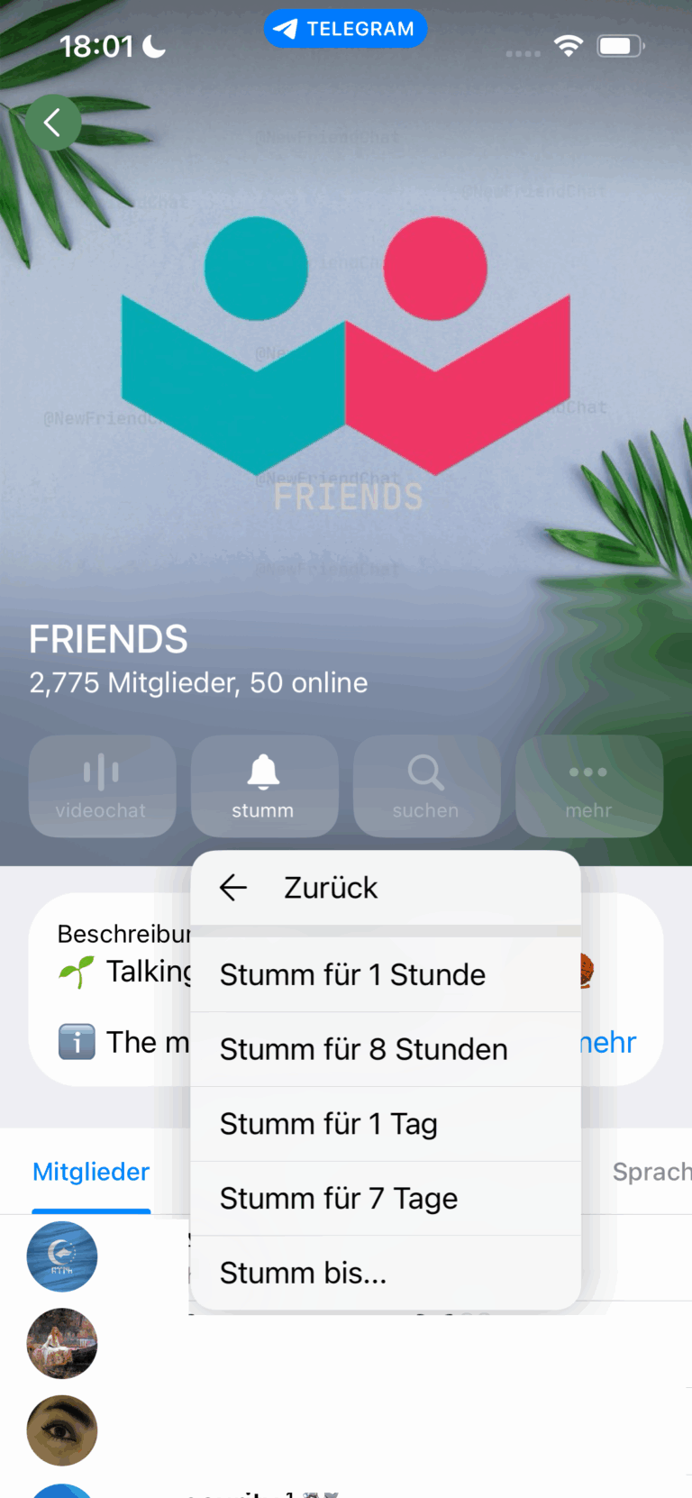 Gruppen stummschalten
