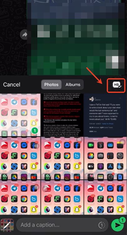 HD-Kennzeichen rechts oben