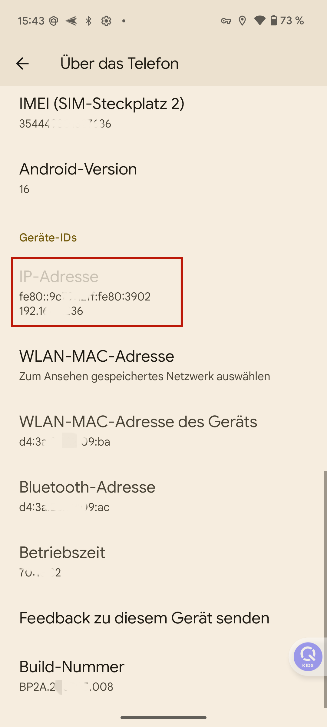 Googel Pixel IP-Adresse durch Telefoninfos heruasfinden