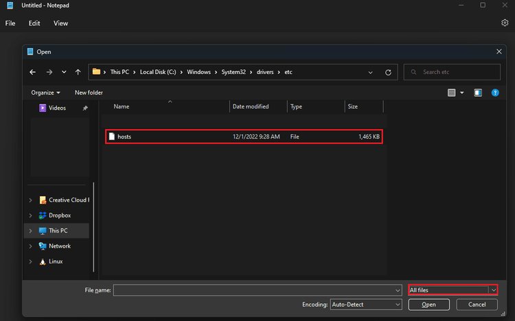 Öffnen Sie hosts-Datei