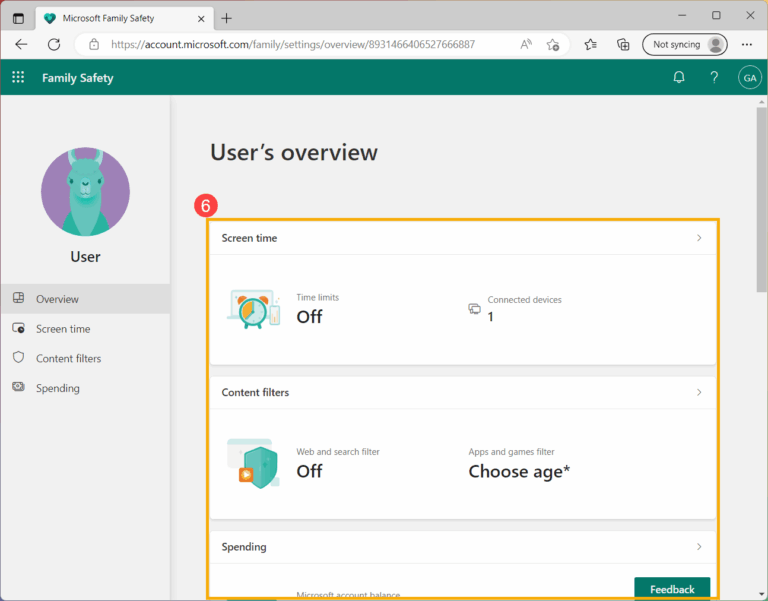 Microsoft Family Safety