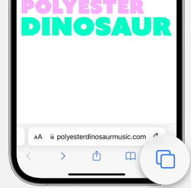 desactivar la navegación privada en safari paso 2