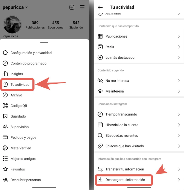 descarga tu informacion de instagram