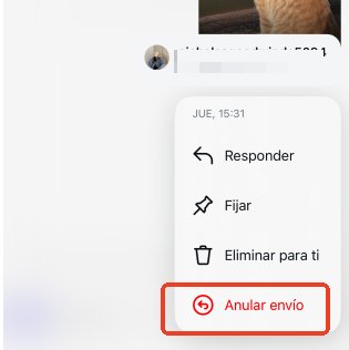 si anulas el envío de un mensaje en instagram ¿notifica?