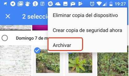archivar foto en google fotos