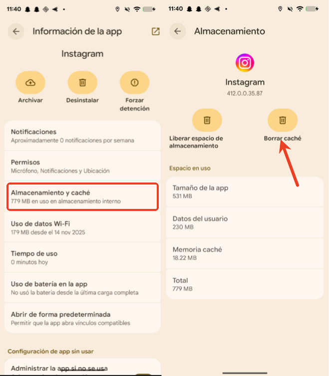 borrar la caché de registros