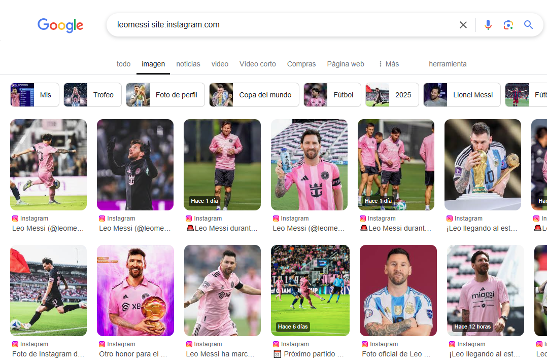 busca en google para ver instagram sin cuenta