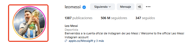 ver la historia del perfil de Instagram