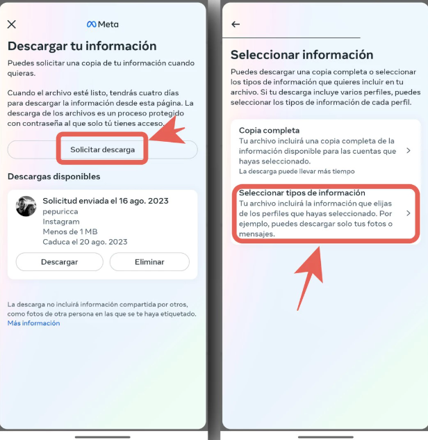 seleccionar tipo de informacion instagram