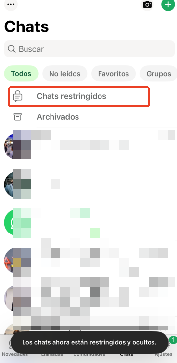 ver chats restringidas