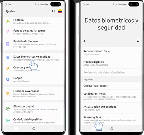 ver contraseñas en samsung pass