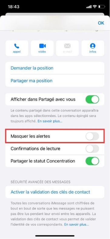 Masquer les alertes iPhone