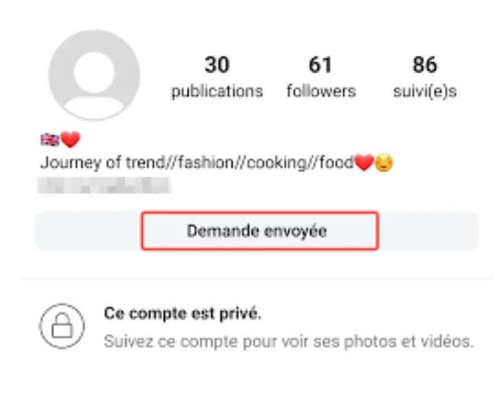 Demande d’abonnement Instagram