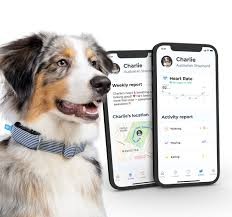 Invoxia Smart Tag
