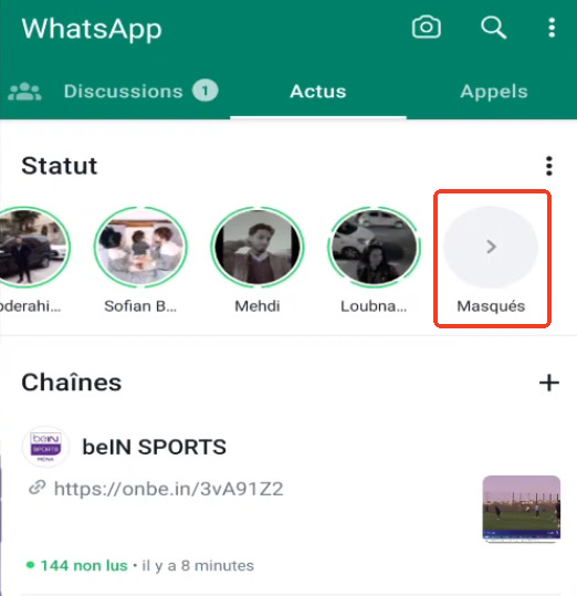 Voir les statuts WhatsApp masqués