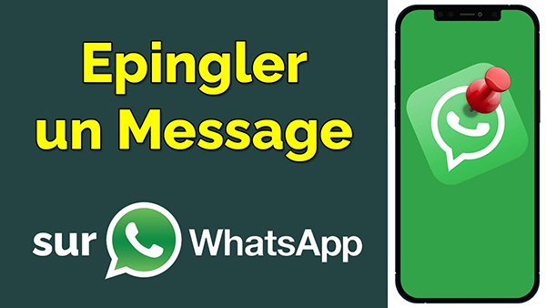 Comment Épingler Un Message Sur Whatsapp