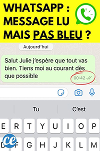  WhatsApp Message Lu Mais Pas Bleu
