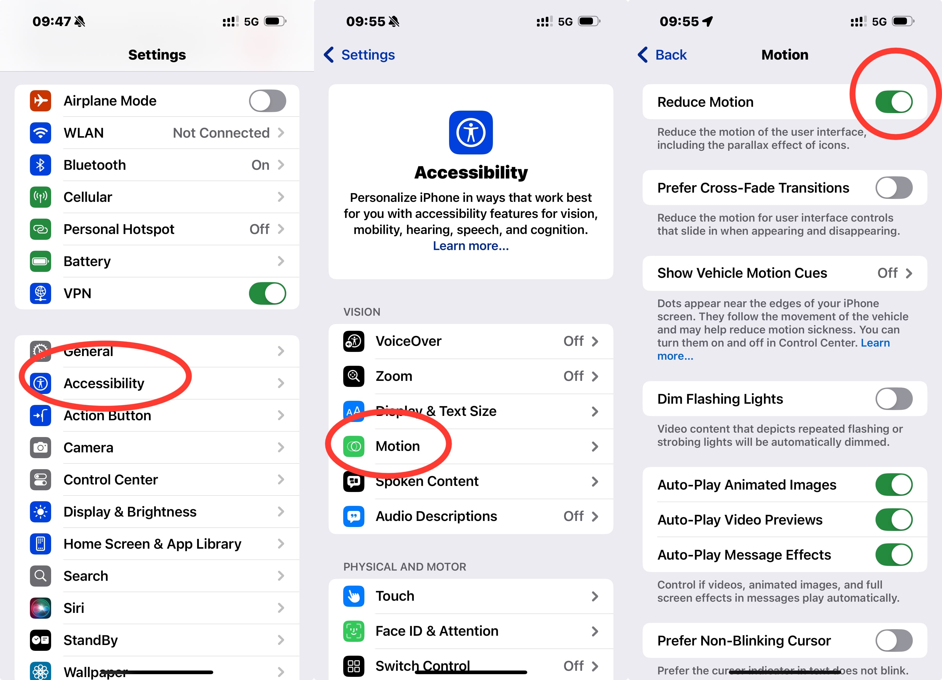 Reduce iPhone Motion Setting