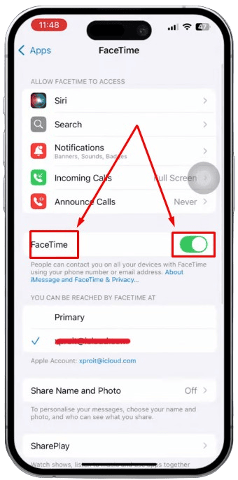 check FaceTime audio