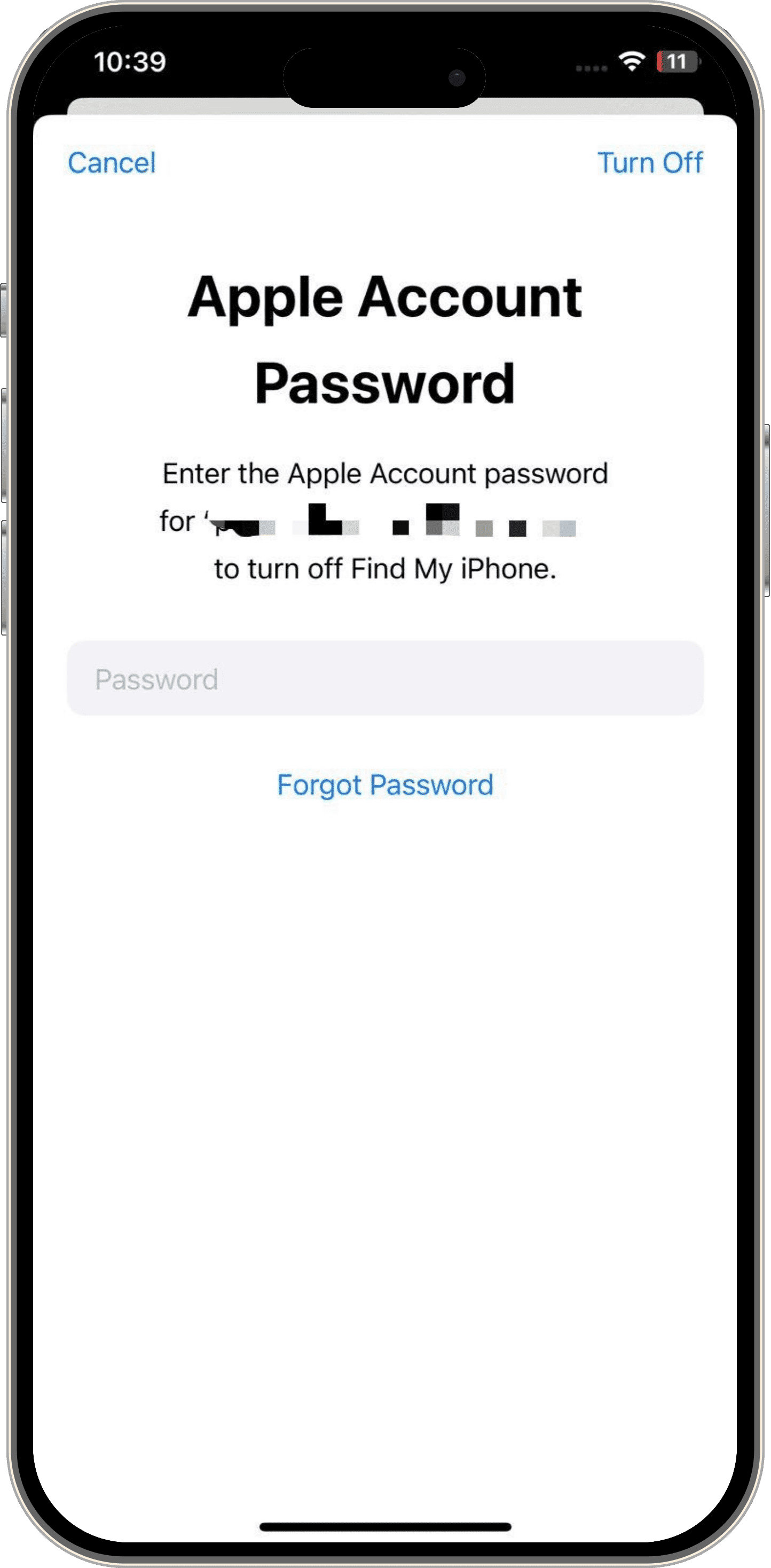 enter apple account password