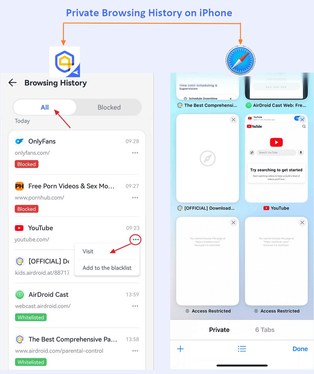  view Private Browsing history on iPhone: AirDroid Parental Control performance