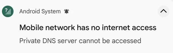 private dns server cannot be accessed android
