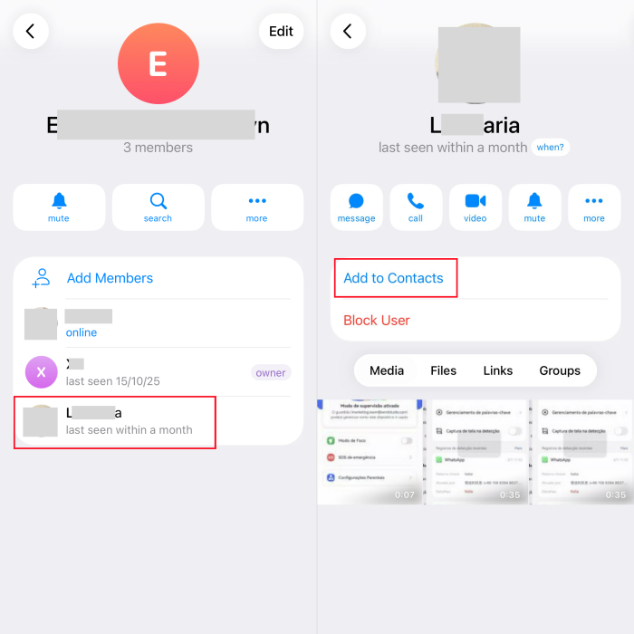 Adicione alguém a partir de grupos do Telegram