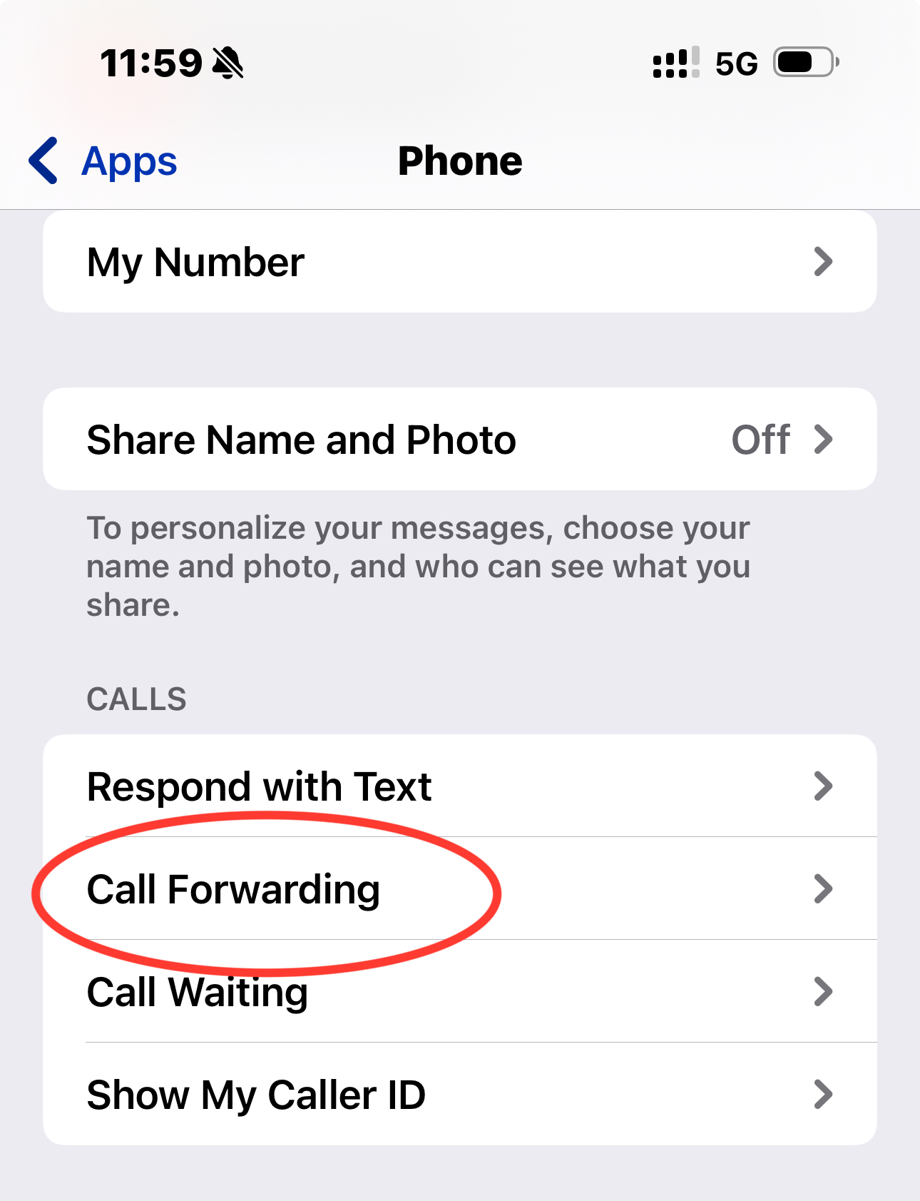 call forwarding section