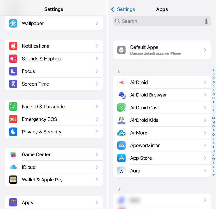 check authorized apps