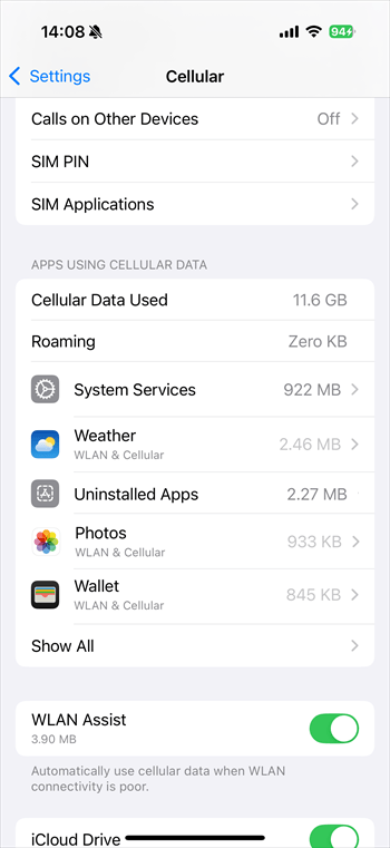 Check mobile data usage by app on iPhone
