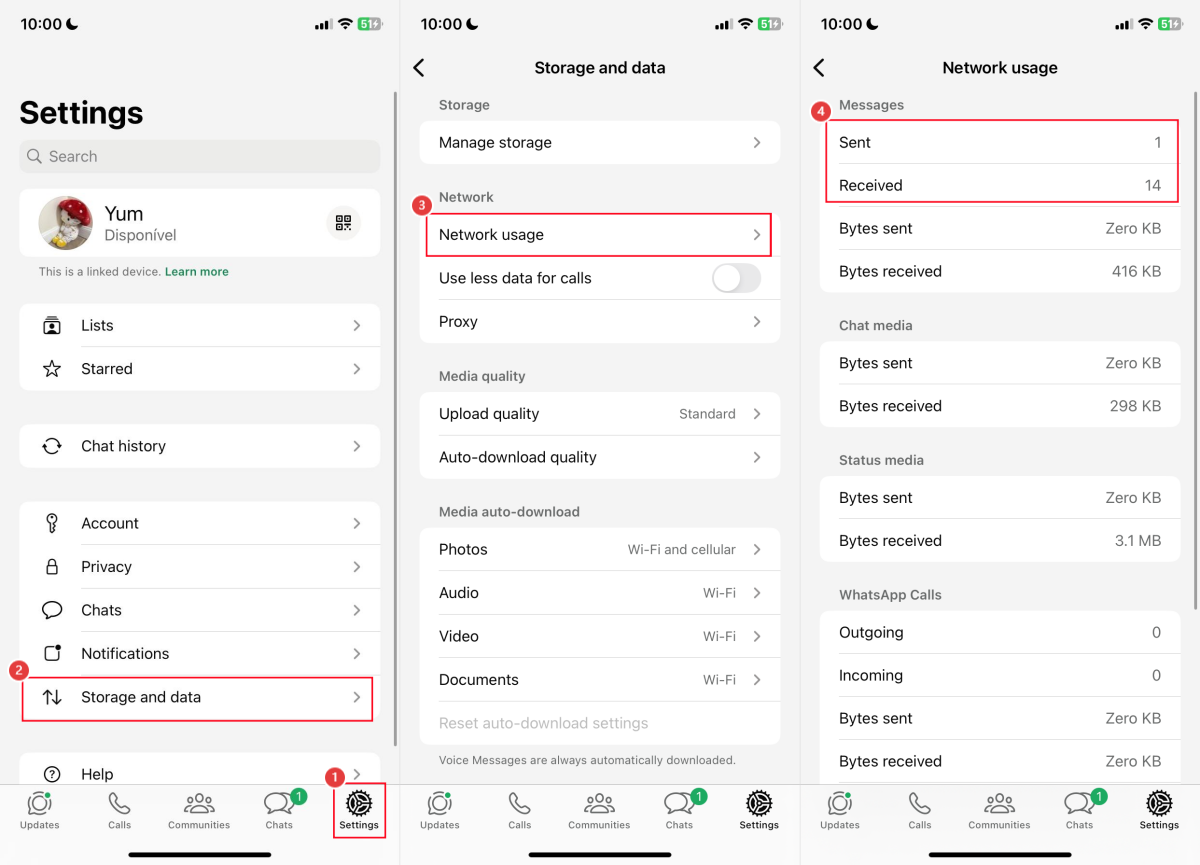 check number of WhatsApp messages in Settings