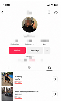Check TikTok Account