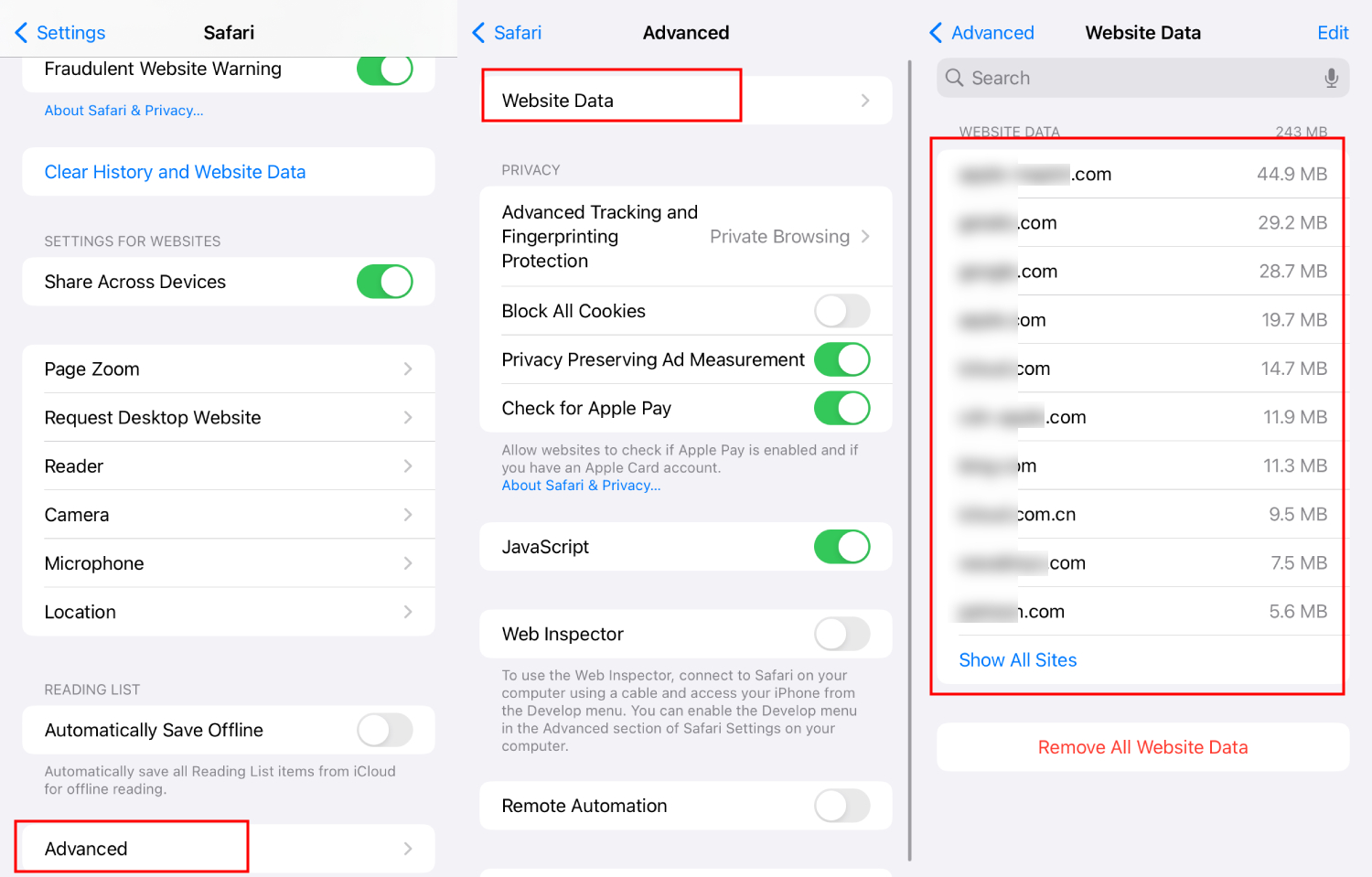 check website data on iPhone