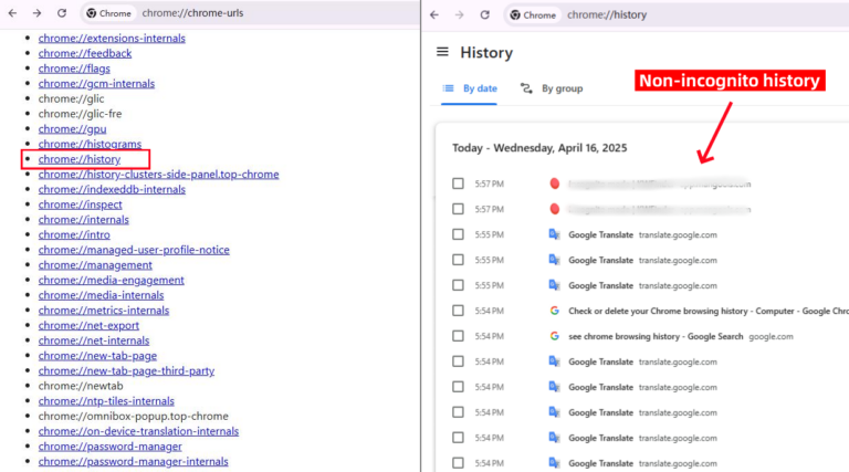 chrome chrome url history